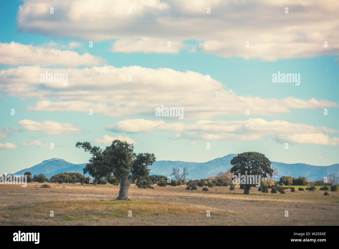 Africa savannah mountain hi-res stock photography and images - Alamy