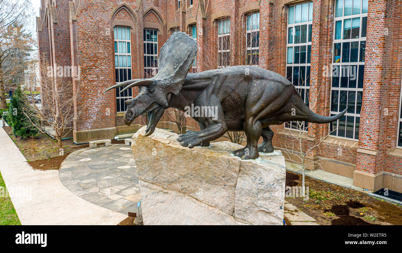 Yale Peabody Museum Of Natural History New Haven Ct Usa Stock Photo