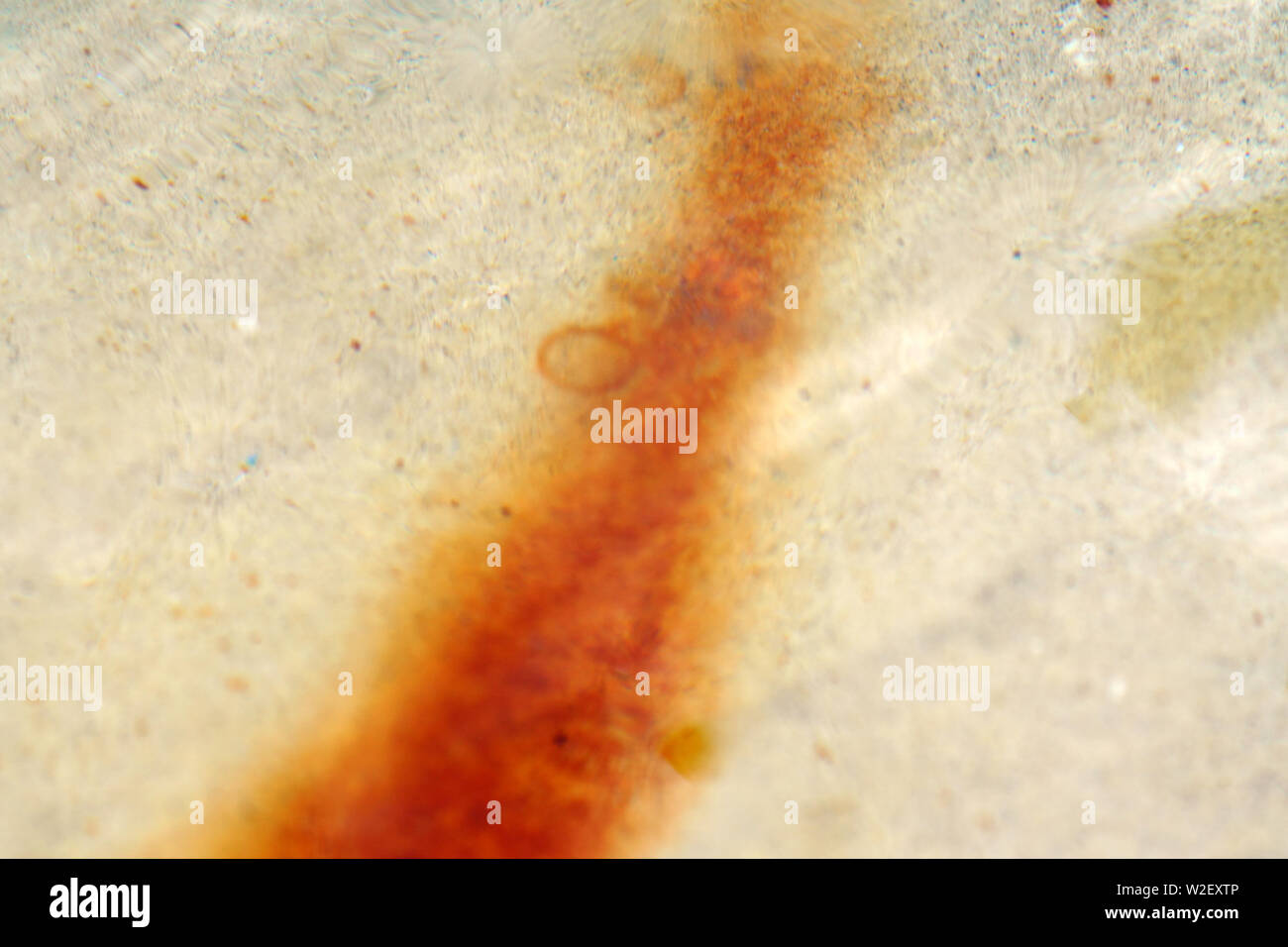 The close-up of the surface of a water basin with traces of rust and ferrous deposits. Stock Photo