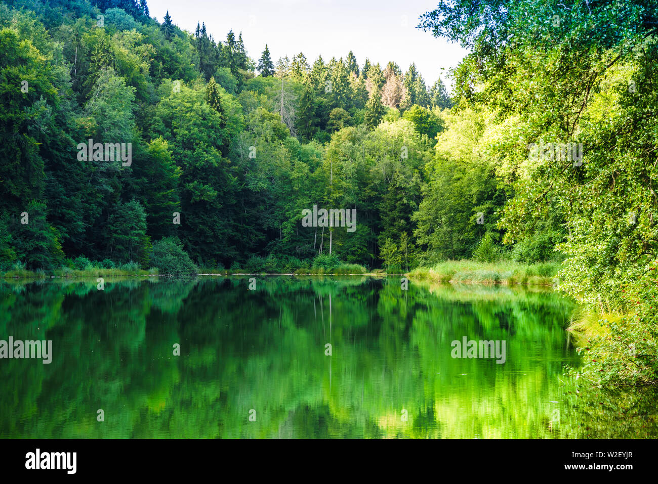 View on natural lake Egelsee by Bergdietikon next to Zurich - Switzerland  Stock Photo - Alamy