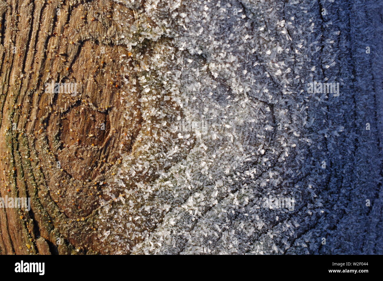 Frost on a Driftwood Tree Trunk. Aberdeen Beach, Scotland, UK. Stock Photo