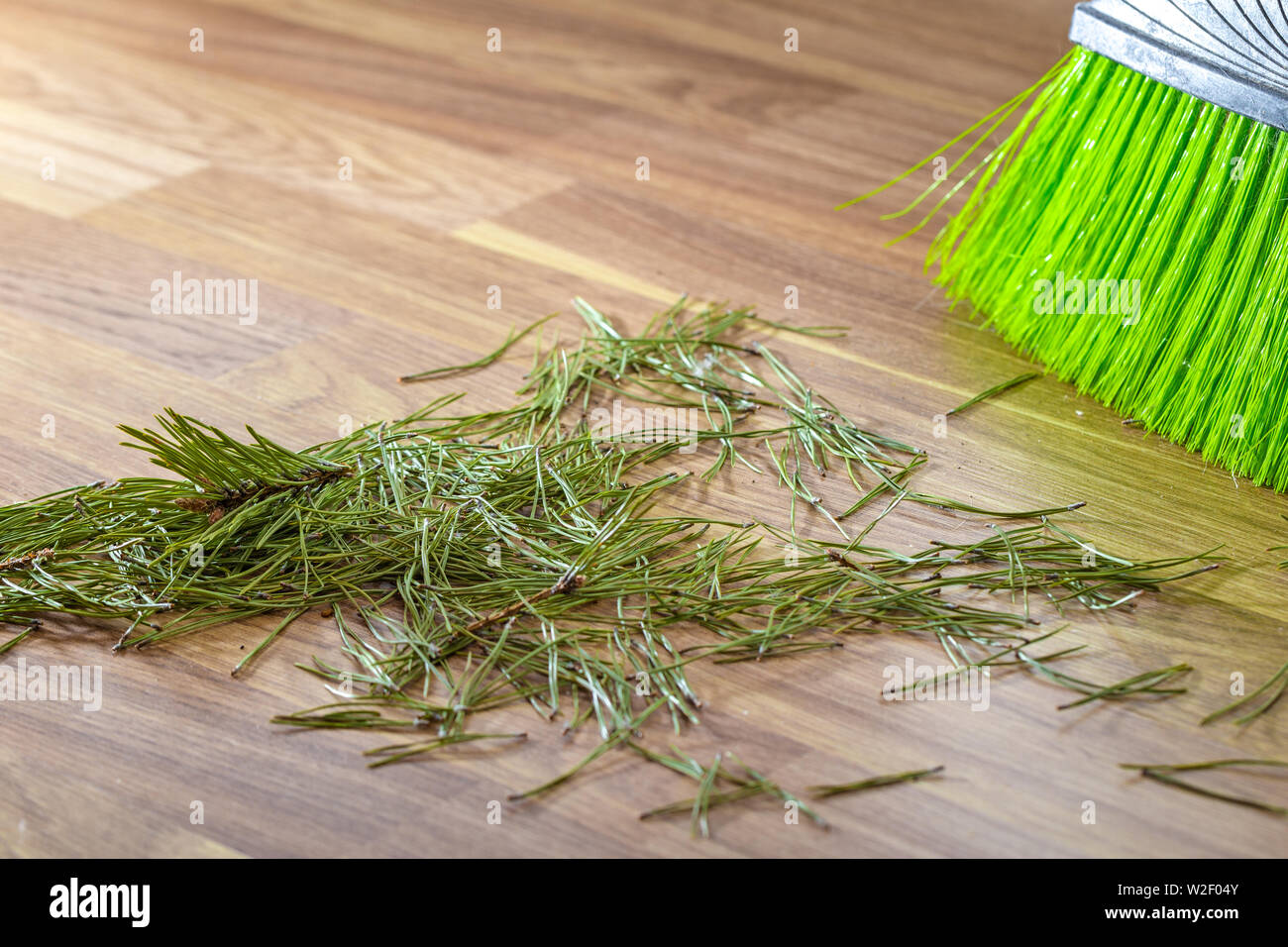 Pine Tree Needles Fallen High Resolution Stock Photography and Images