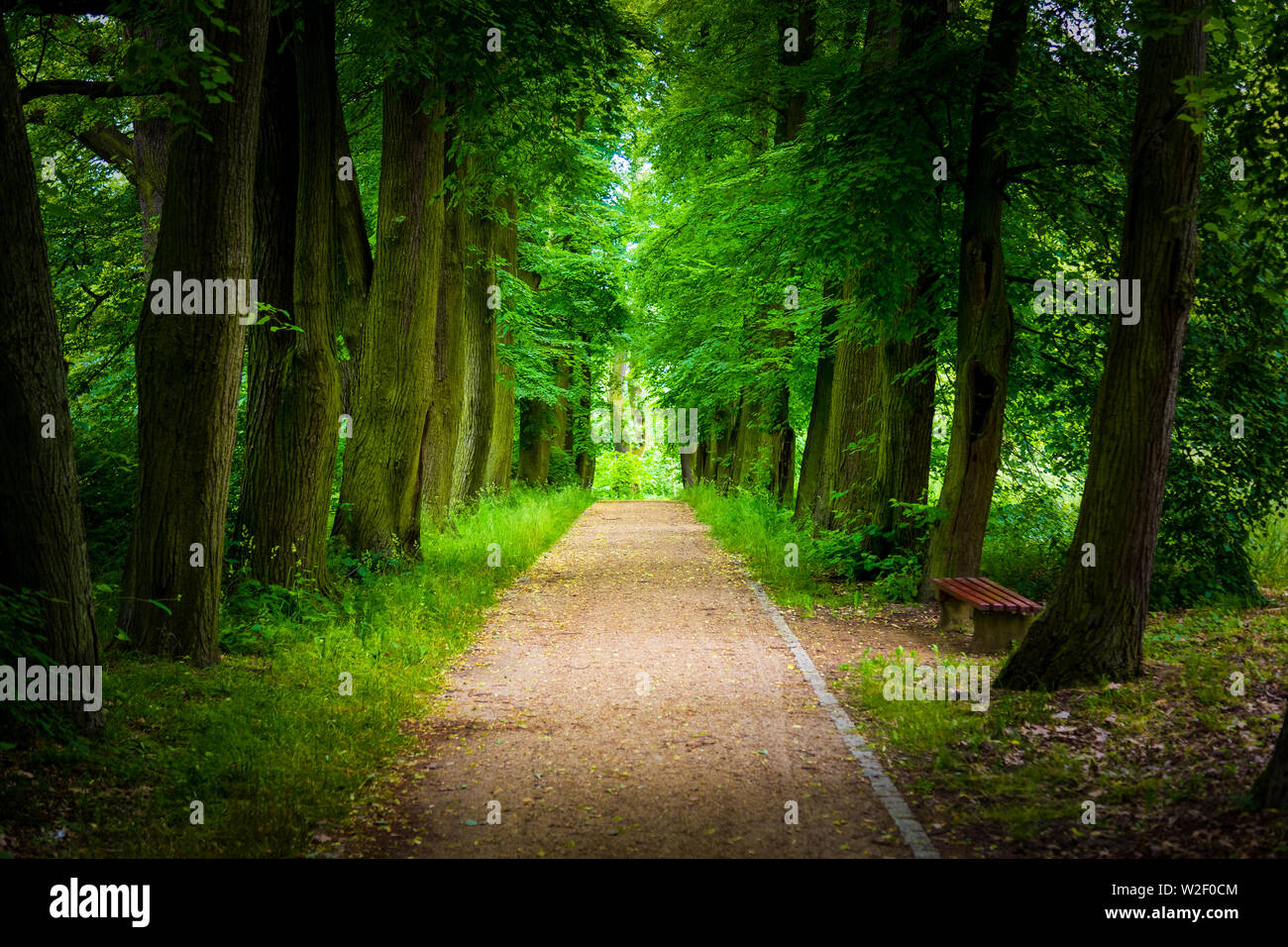 Alley garden park hi-res stock photography and images - Alamy
