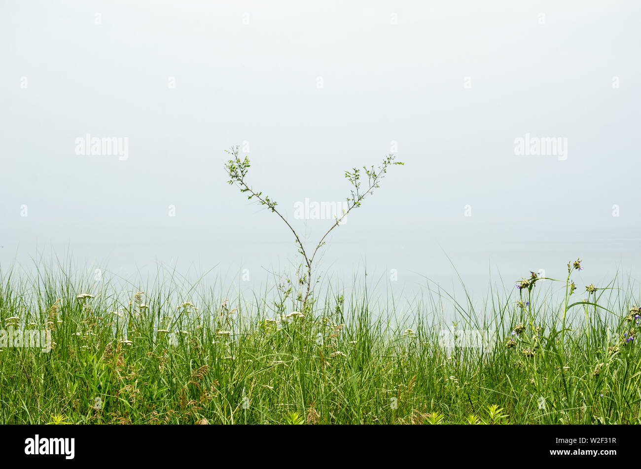 Lake Michigan shoreline in Beverly Shores Indiana dunes Stock Photo Alamy