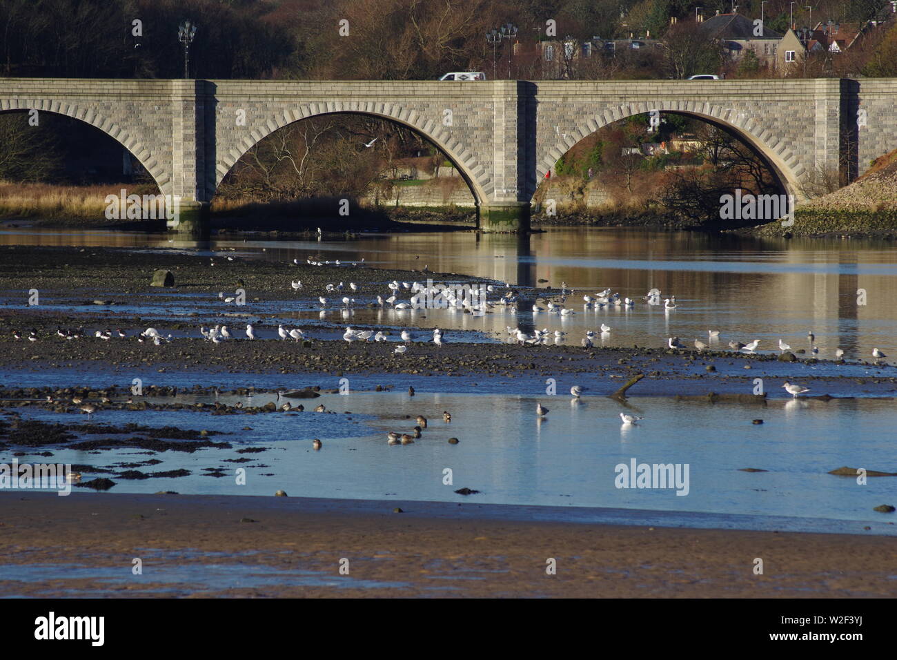 Bridge of Don. 5 Arch Granite Road Bridge 1830, Spanning thr River Don