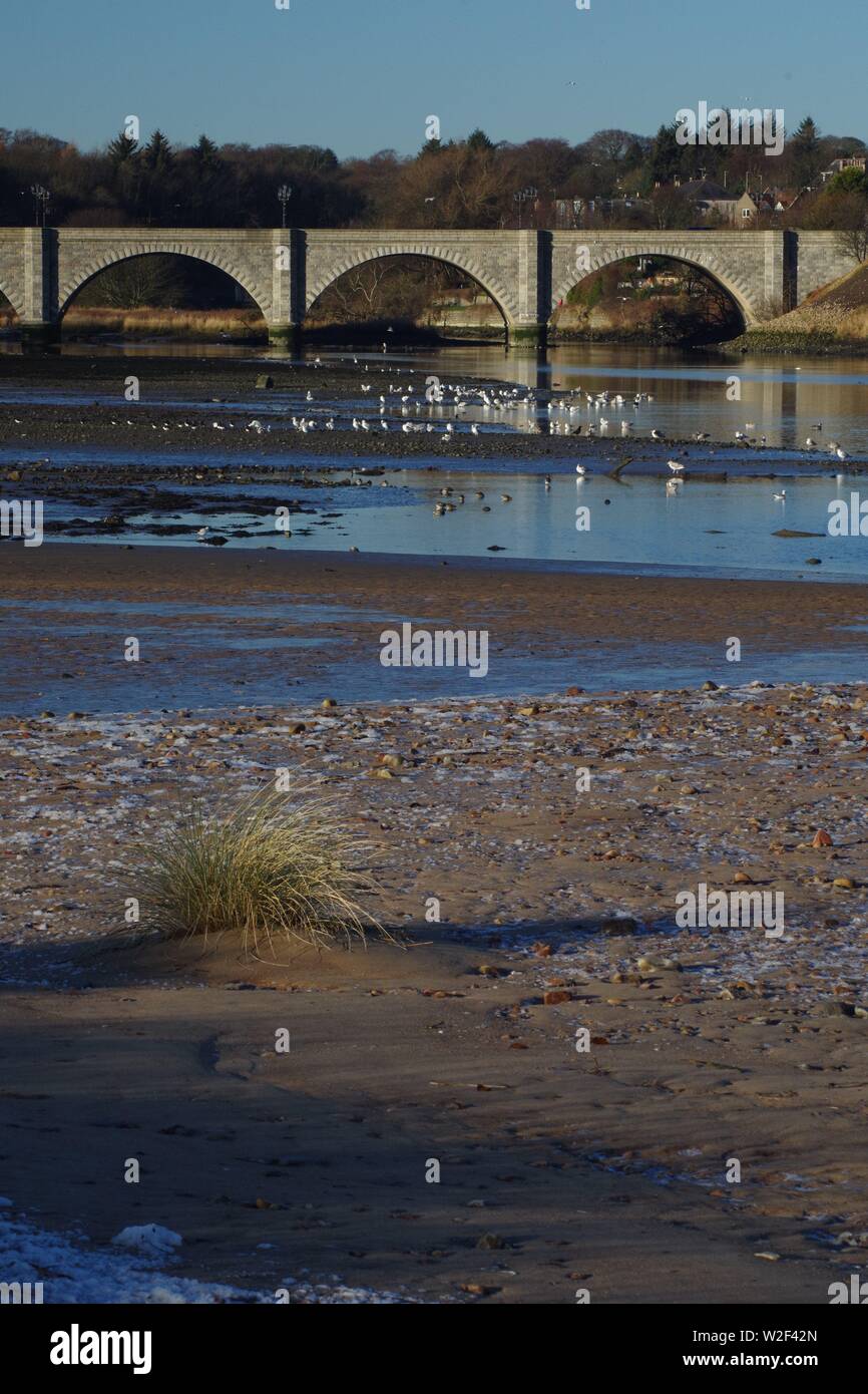 Bridge of Don. 5 Arch Granite Road Bridge 1830, Spanning thr River Don