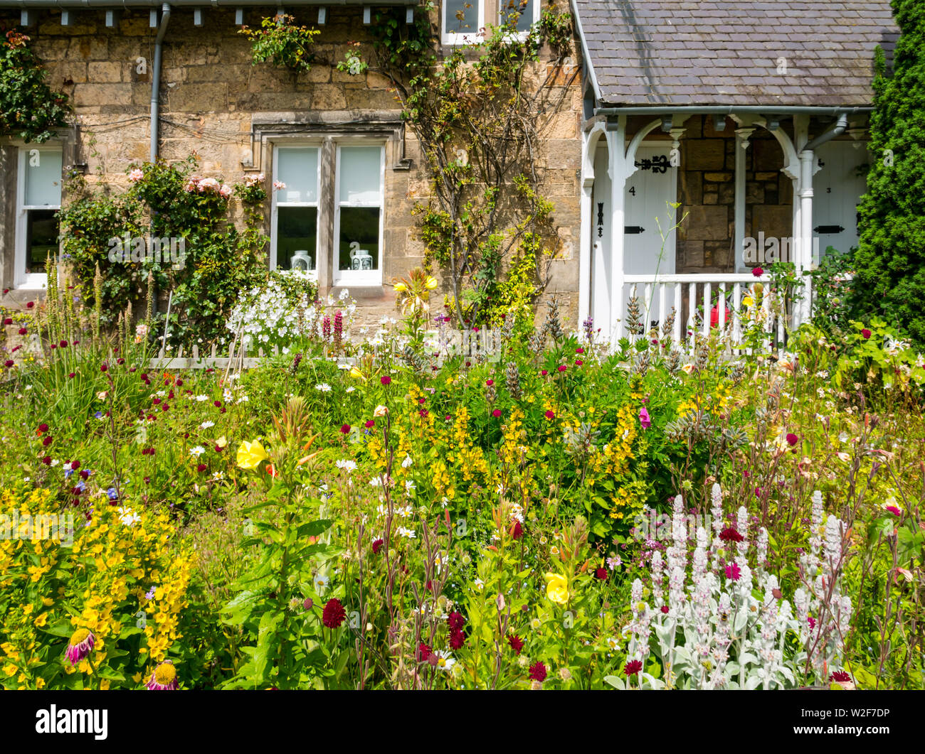 Pretty Summer flowers in cottage garden on sunny Summer day, Dirleton, East Lothian, Scotland, Uk Stock Photo
