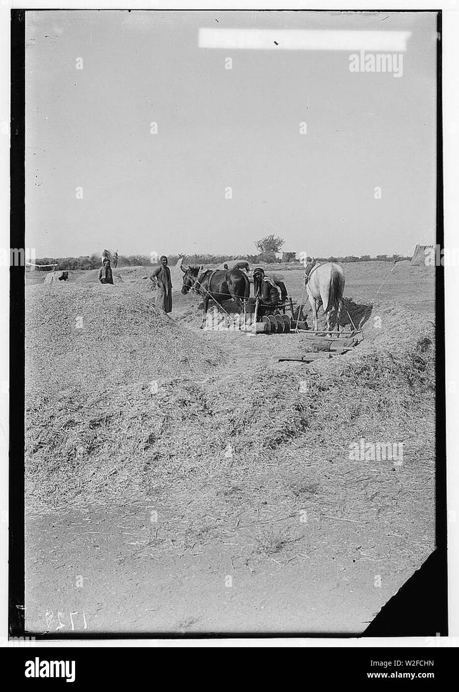 Characters and industries, etc. Threshing instrument with disks at Homs ...