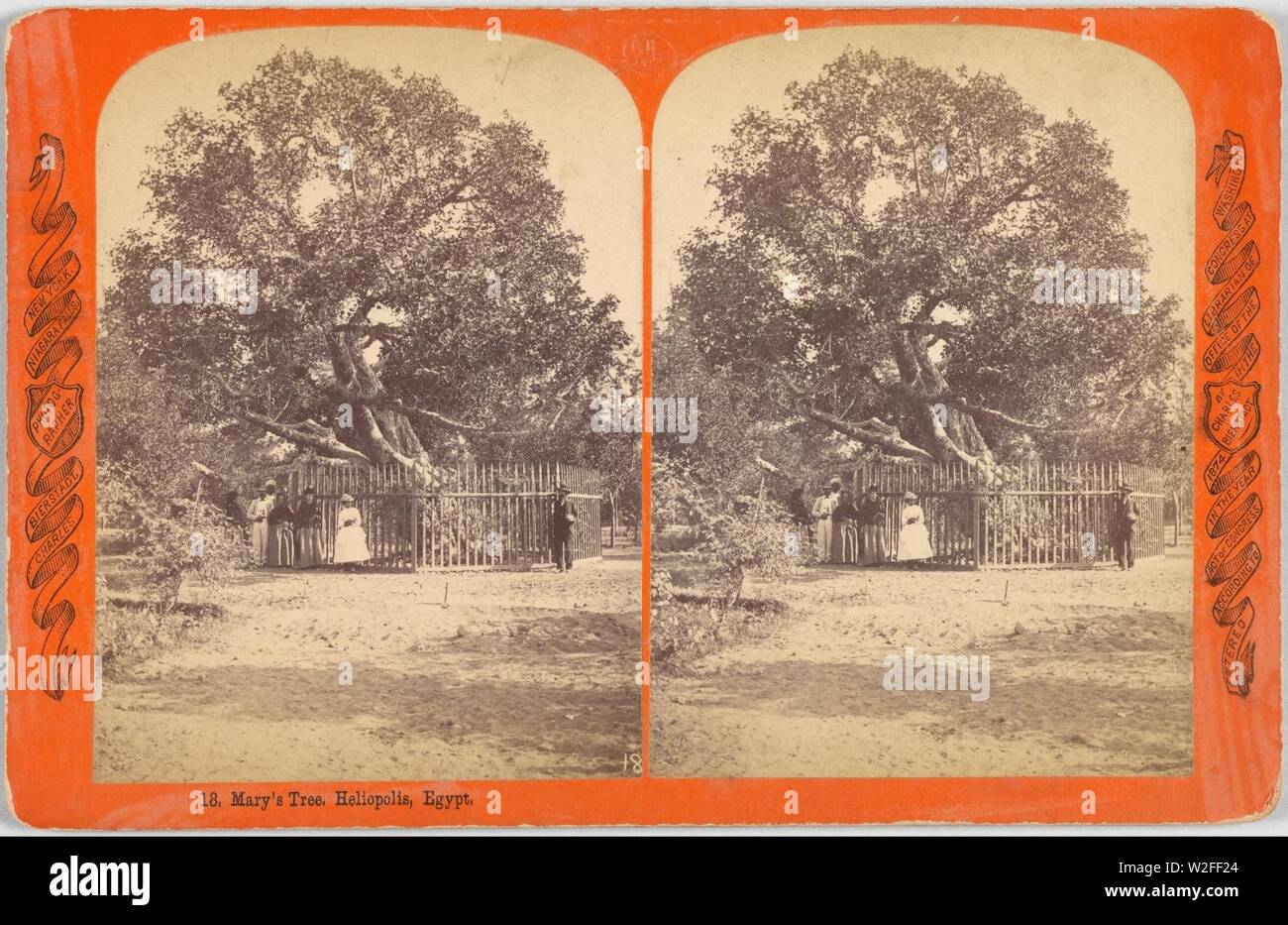 Charles Bierstadt (American, born Germany - Mary's Tree. Heliopolis, Egypt. - Stock Photo