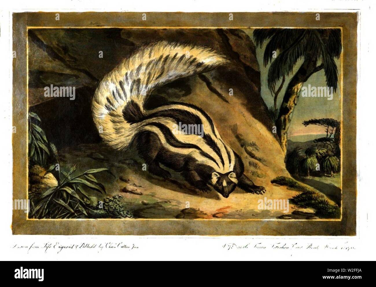 Charles catton art hi-res stock photography and images - Alamy