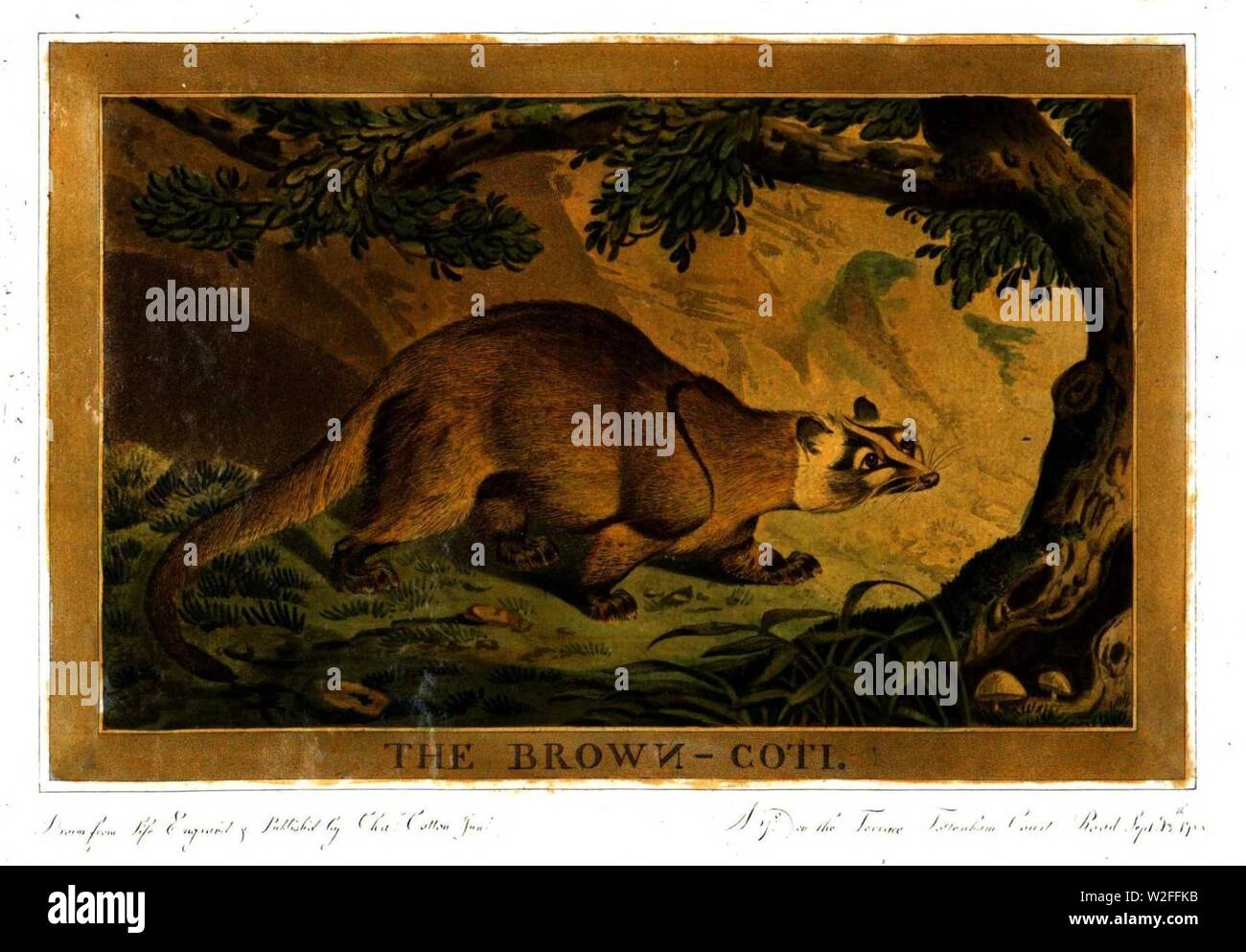 Charles catton art hi-res stock photography and images - Alamy