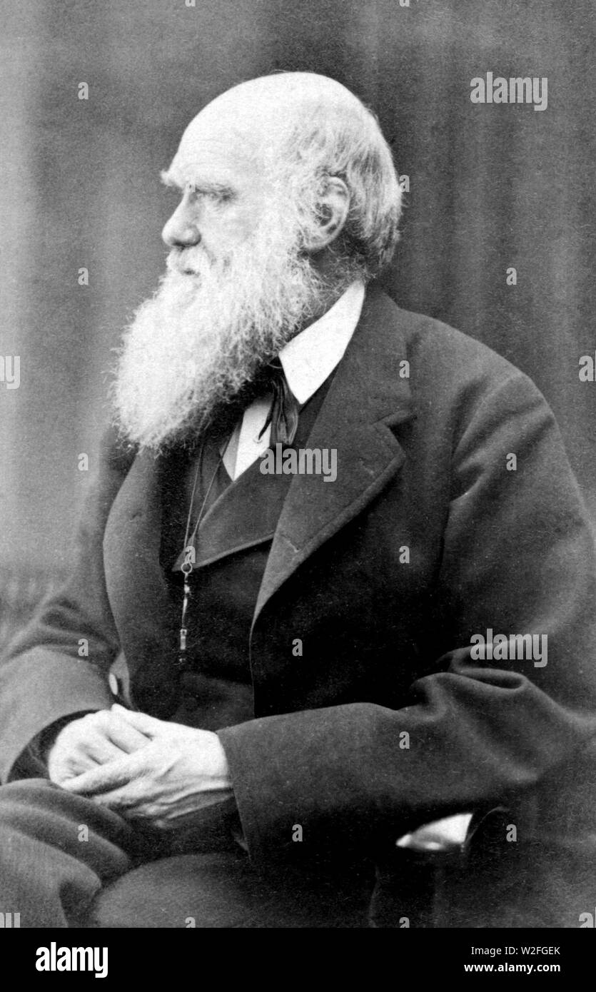 Charles Darwin photograph by Oscar Rejlander, circa 1871-b&w. Stock Photo