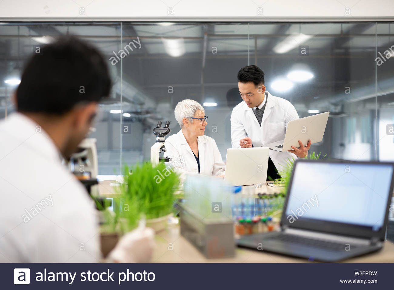 Environmental scientists working in laboratory Stock Photo Alamy