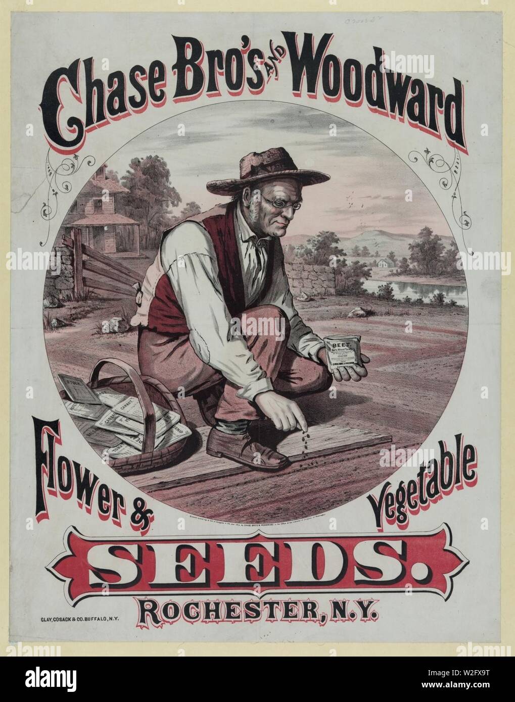 Chase Bro's and Woodward. Flower & vegetable seeds Stock Photo Alamy