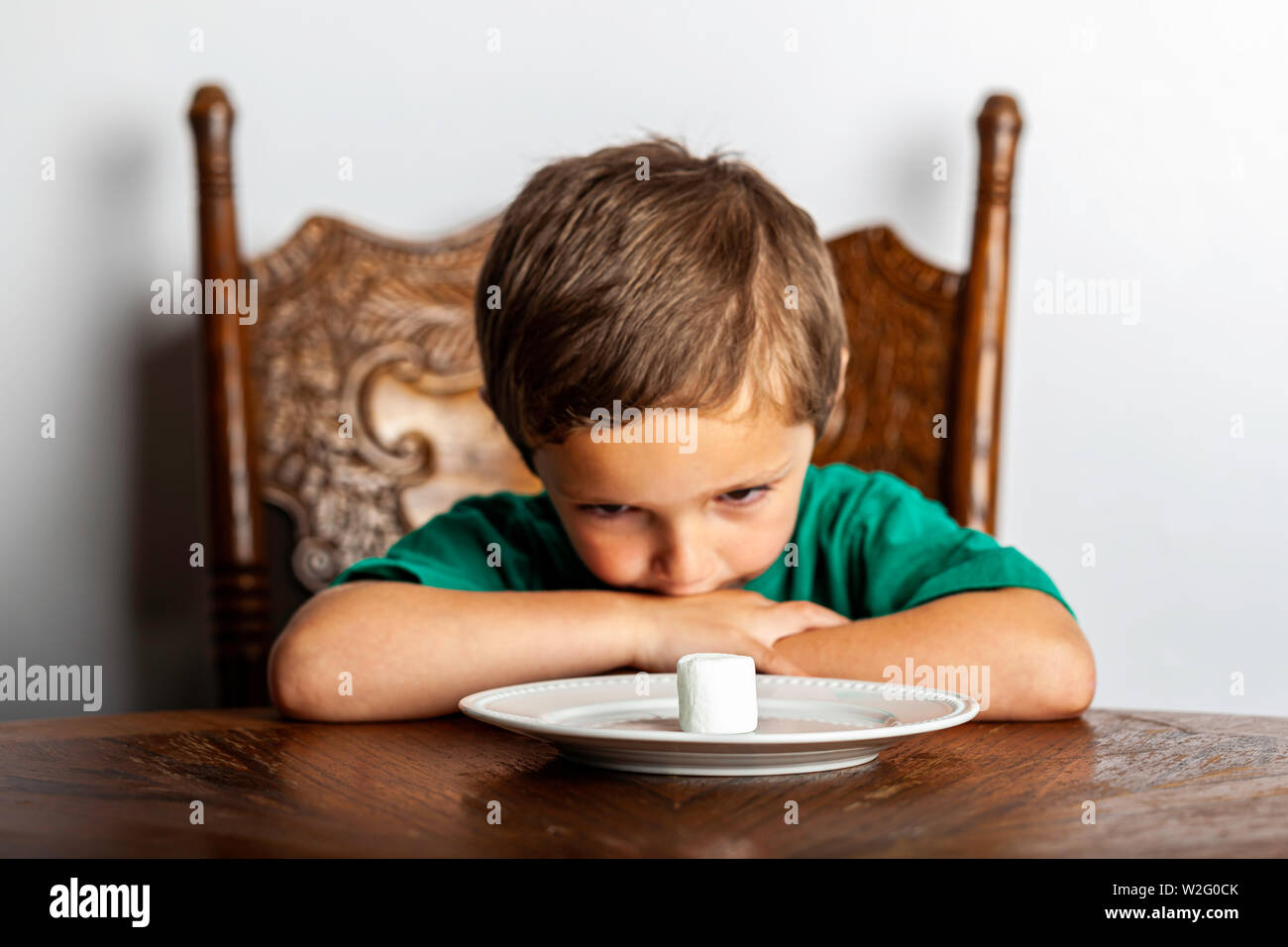 A young boy sitting at a table looking at a single marshmallow close to his face as part of the marshmallow experiment. Stock Photo