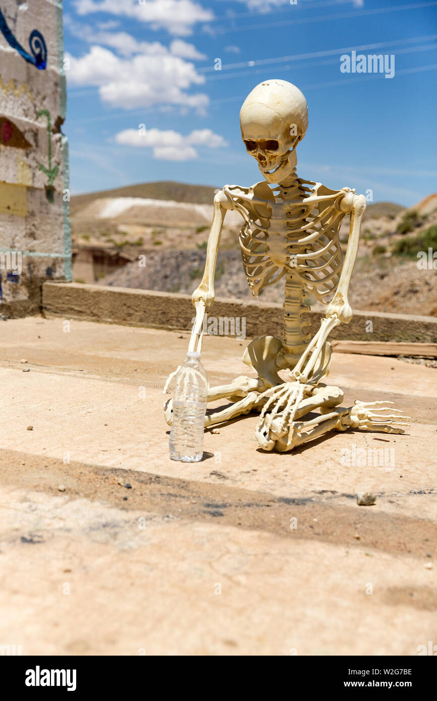 Skeleton worshipping a bottle of water at Ludwig mine Nevada ruins