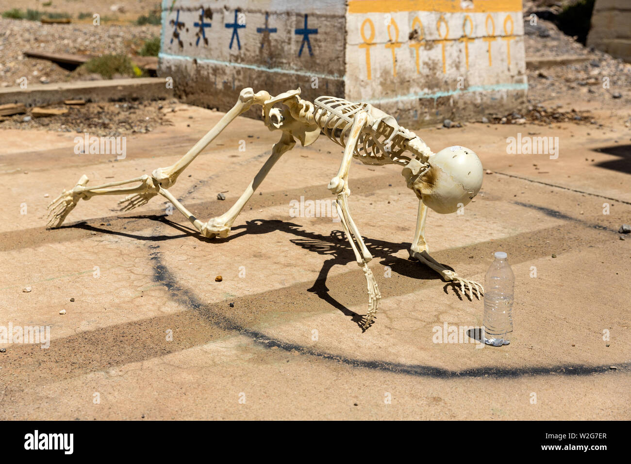 Skeleton dying of thirst at Ludwig mine Nevada ruins Stock Photo - Alamy