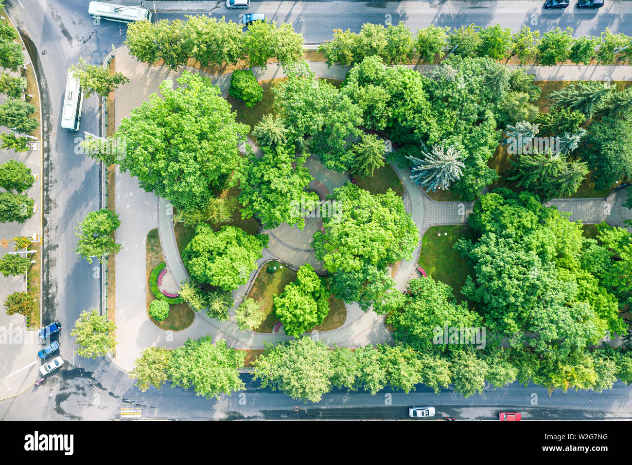 city boulevard. aerial top view of green trees growing alongside asphalt sidewalks Stock Photo