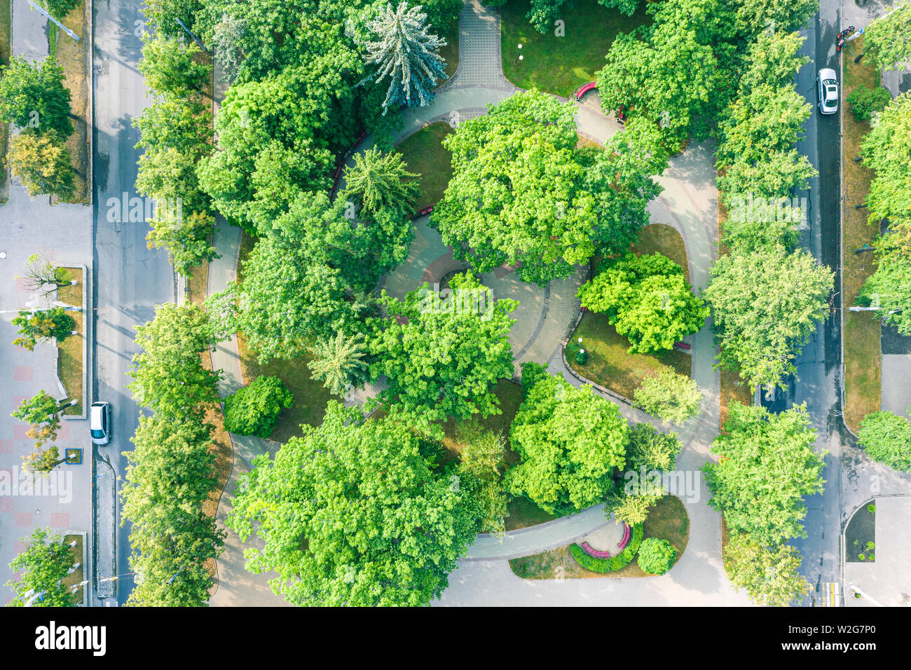 aerial to view of boulevard with green trees in early summer morning Stock Photo