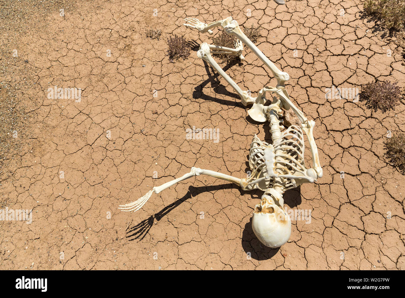skeleton-parched-and-dead-of-thirst-on-cracked-mud-in-the-desert-W2G7PW.jpg