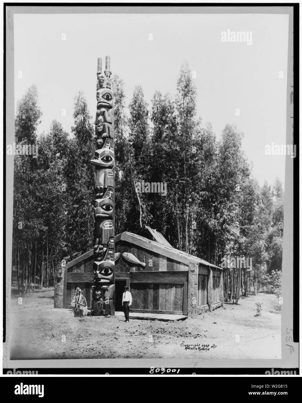 Alaskan totem Cut Out Stock Images & Pictures - Alamy