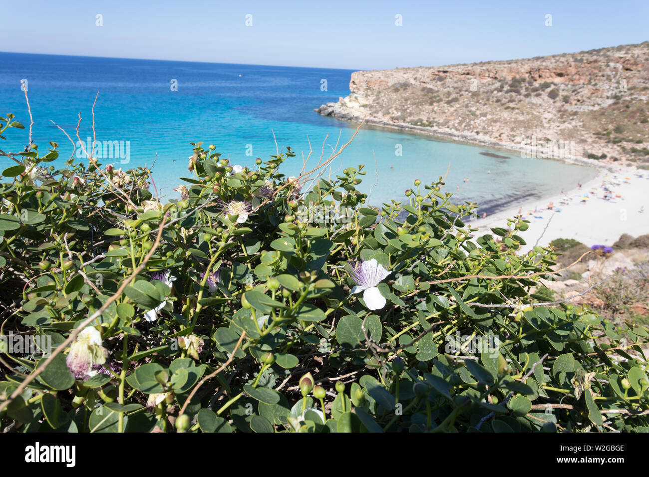 Lampedusa Island Sicily - Rabbit Beach and Rabbit Island Lampedusa ...