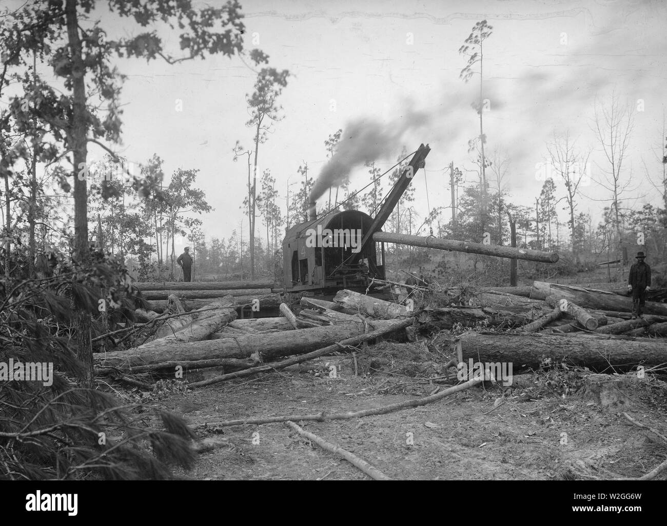 Loading lumber on train Black and White Stock Photos & Images - Alamy