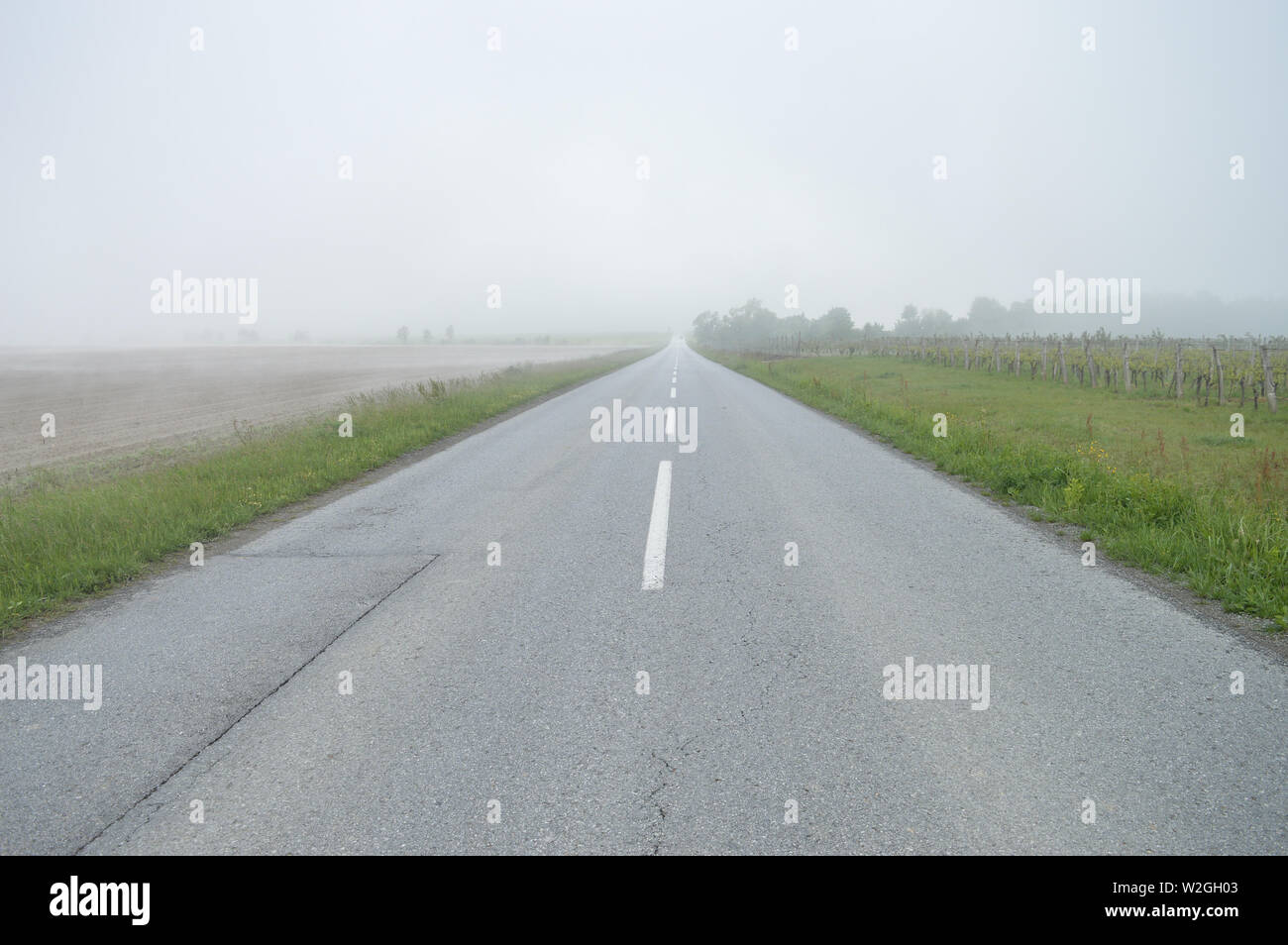 Empty countryside straight road in misty morning Stock Photo