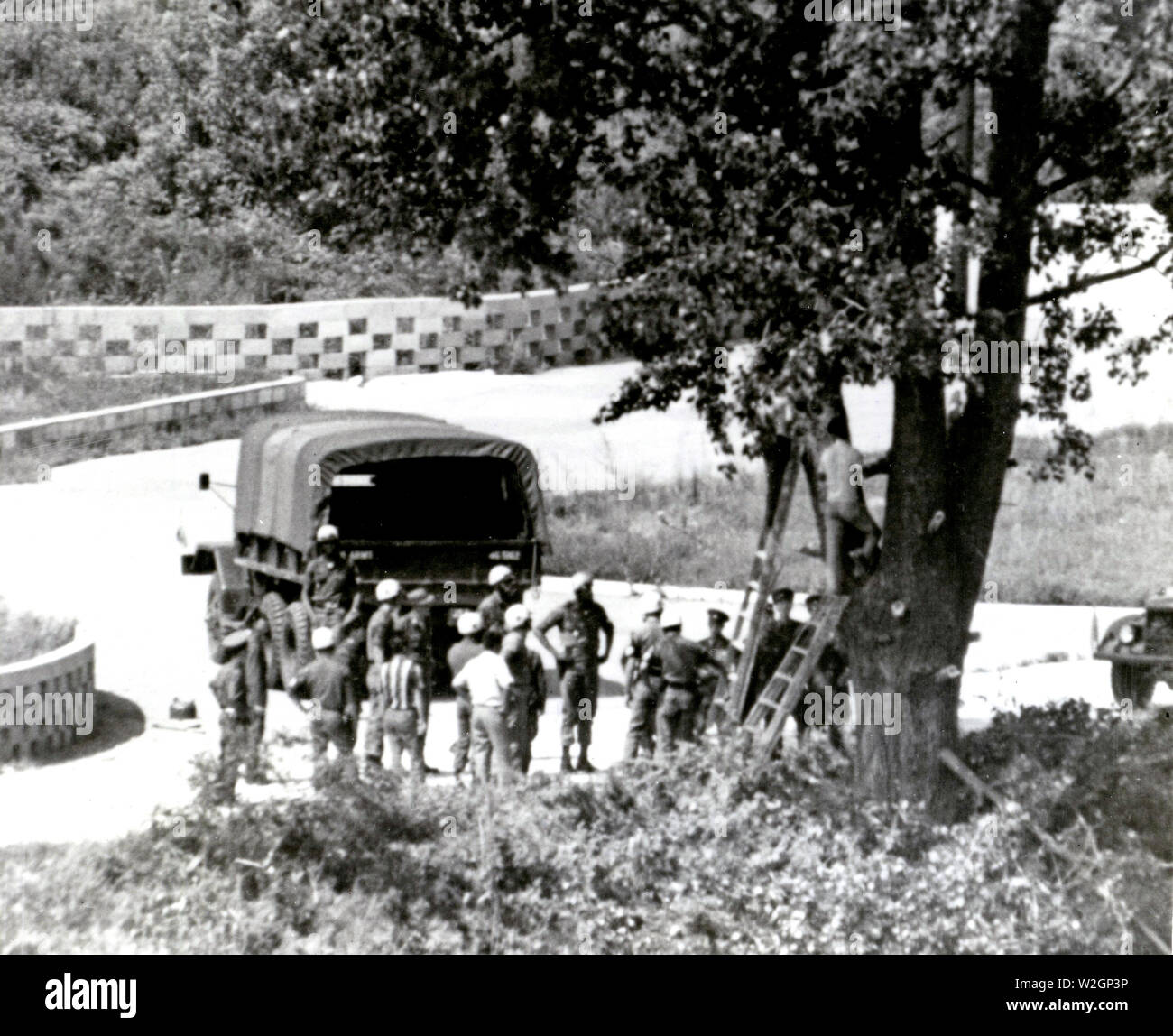 Hacked Tree High Resolution Stock Photography And Images Alamy