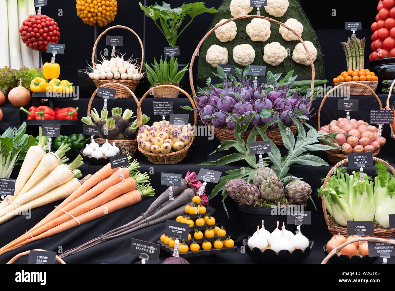 Large vegetable collection on display Stock Photo