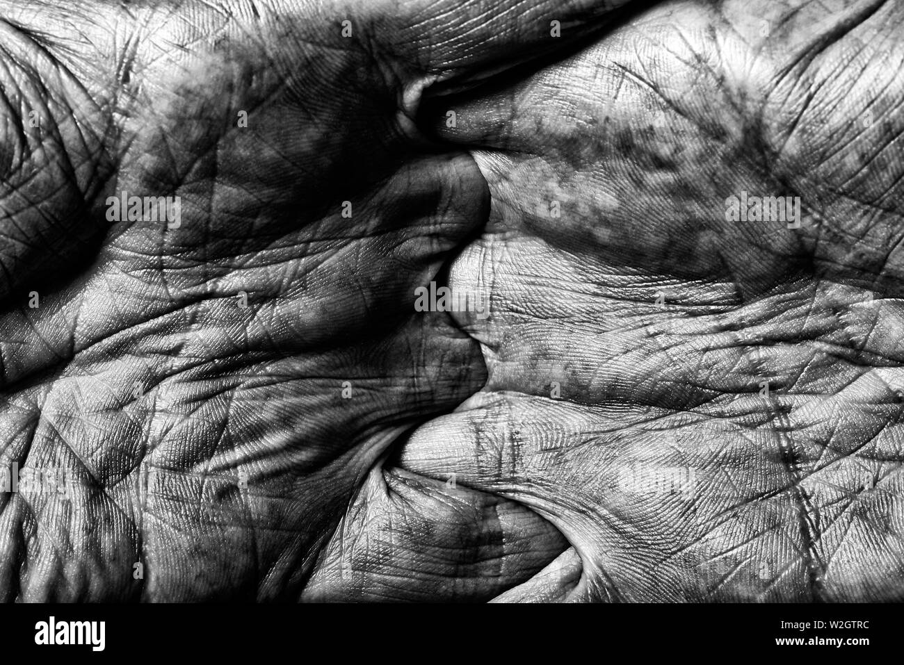 Black and White photo of senior man hands with crossed fingers on dark background Stock Photo