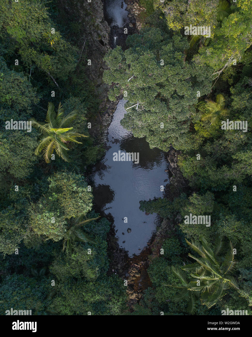 Aerial picture of a tropical oasis, small creek and waterfall in a jungle looking location. Beautiful lush rainforest with animals, sanctuary Stock Photo