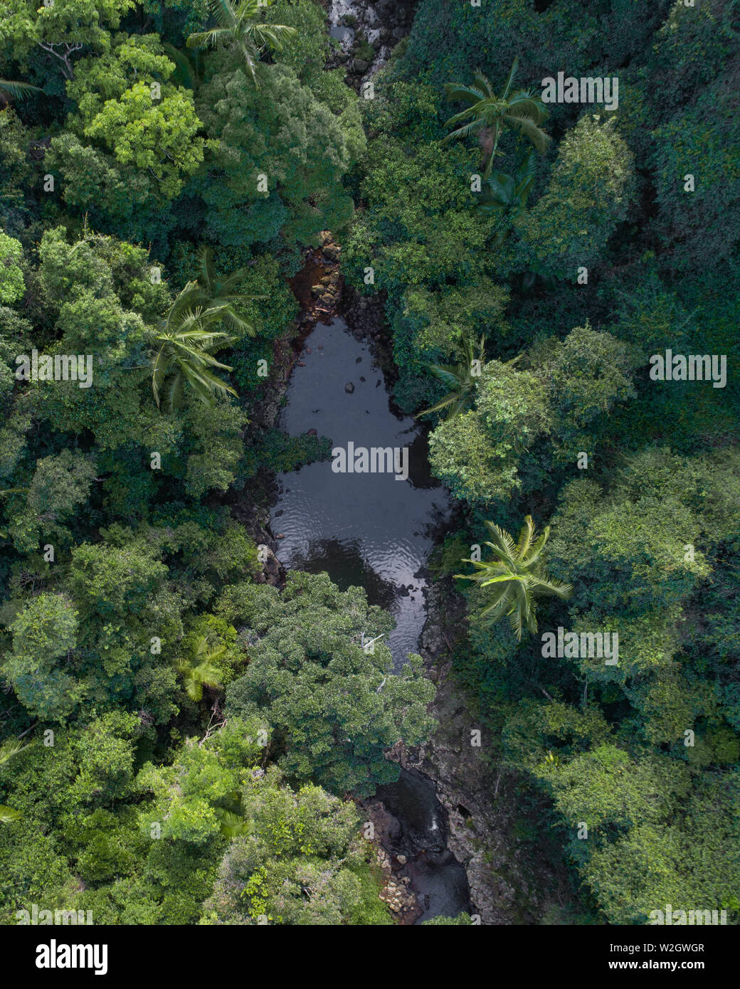 Aerial picture of a tropical oasis, small creek and waterfall in a jungle looking location. Beautiful lush rainforest with animals, sanctuary Stock Photo