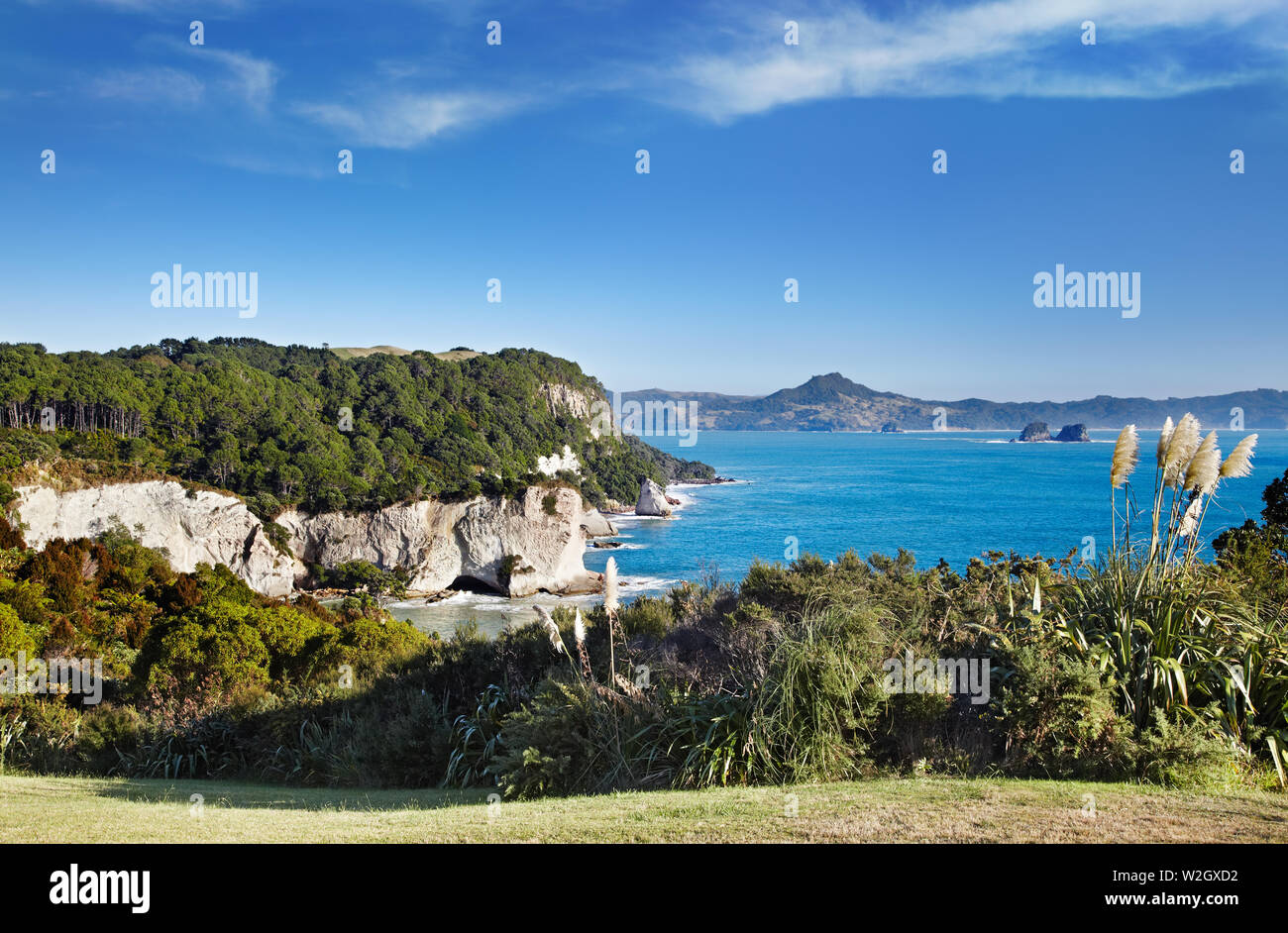 Stingray Bay near Cathedral Cove, Coromandel Peninsula, New Zealand Stock Photo