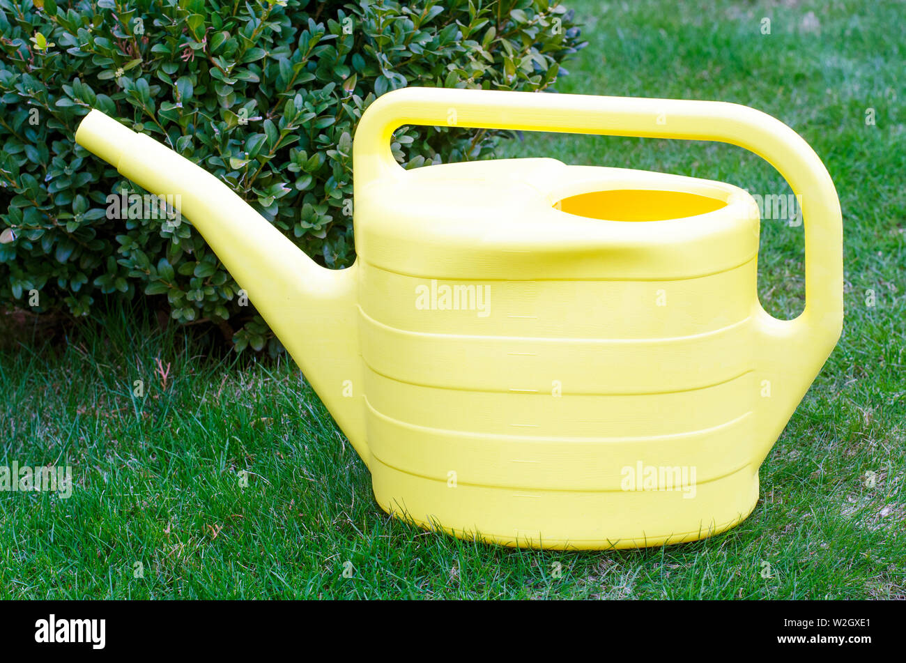 Yellow watering can for watering plants in garden Stock Photo Alamy
