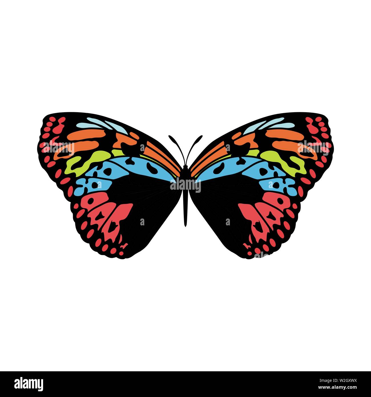 Green yellow colored butterfly vector color drawing illustration hi-res ...