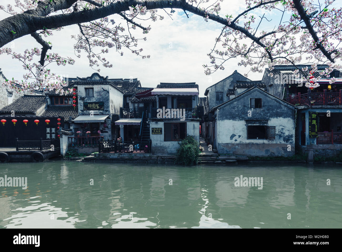 XITANG, CHINA - Mar 31,2019: The Xitang ancient town in cherry blossom season , Xitang is first batch of Chinese historical and cultural town, located Stock Photo