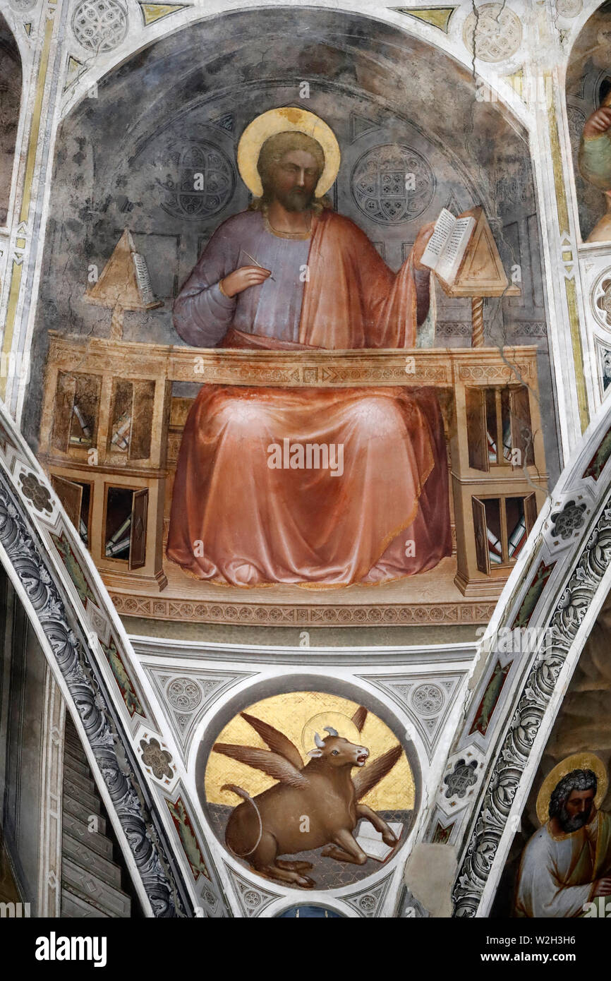 The Padua Baptistery. Ceilling frescoes  14th century by Giusto de Menabuoi. St Luke the Apostle.  Padua. Italy. Stock Photo