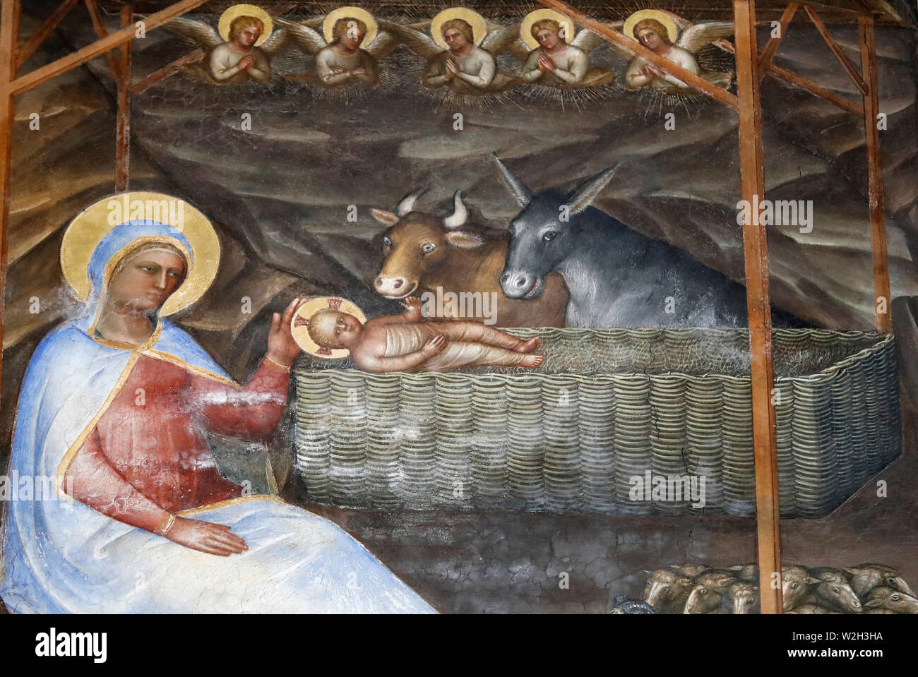 The Padua Baptistery. Ceilling frescoes  14th century by Giusto de Menabuoi.  The nativity of Christ.  Padua. Italy. Stock Photo