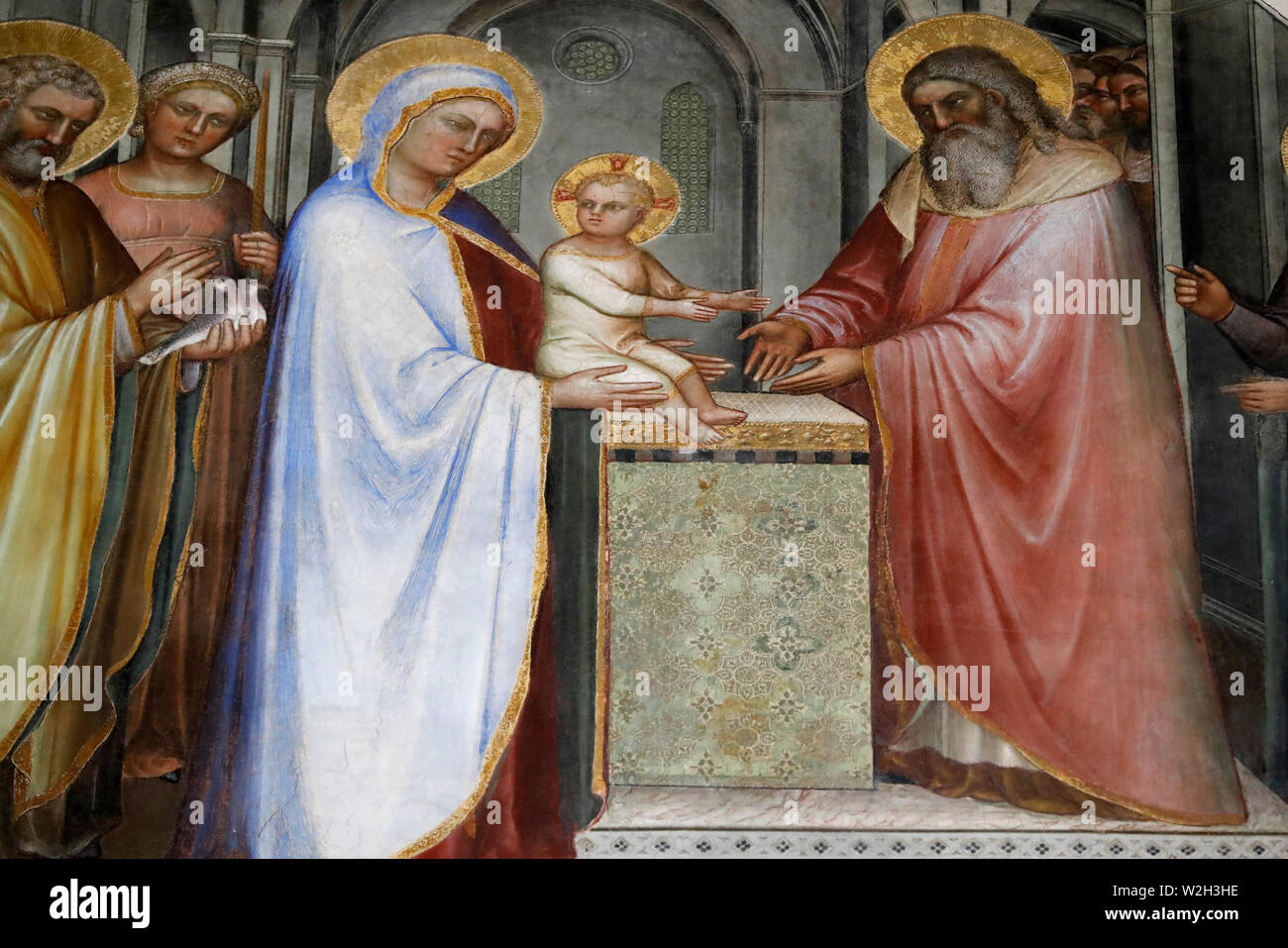 The Padua Baptistery. Ceilling frescoes  14th century by Giusto de Menabuoi. The Presentation of Jesus at the Temple.  Padua. Italy. Stock Photo