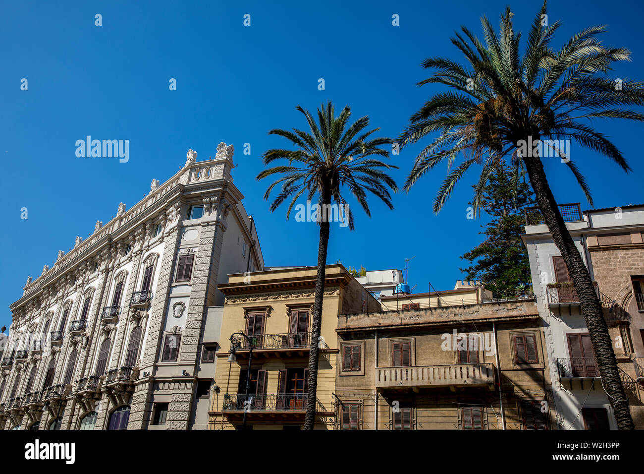 Palm trees palermo hi-res stock photography and images - Alamy