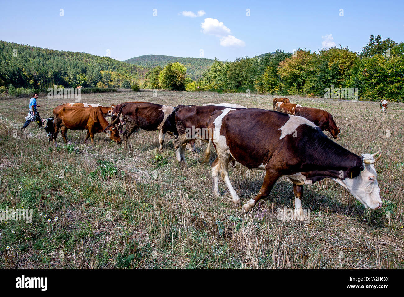 Rural kosovo hi-res stock photography and images - Alamy