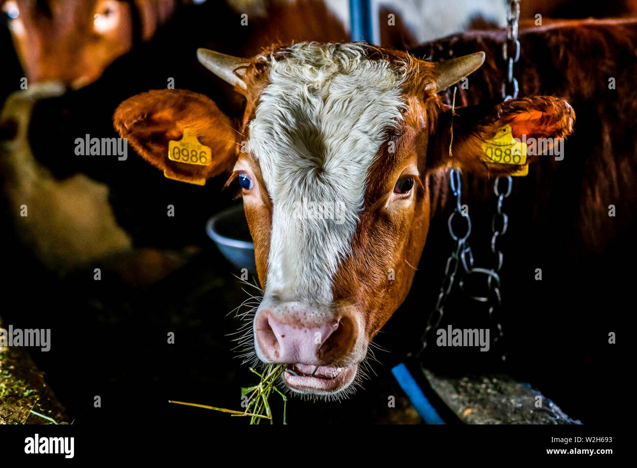 Rural kosovo hi-res stock photography and images - Alamy