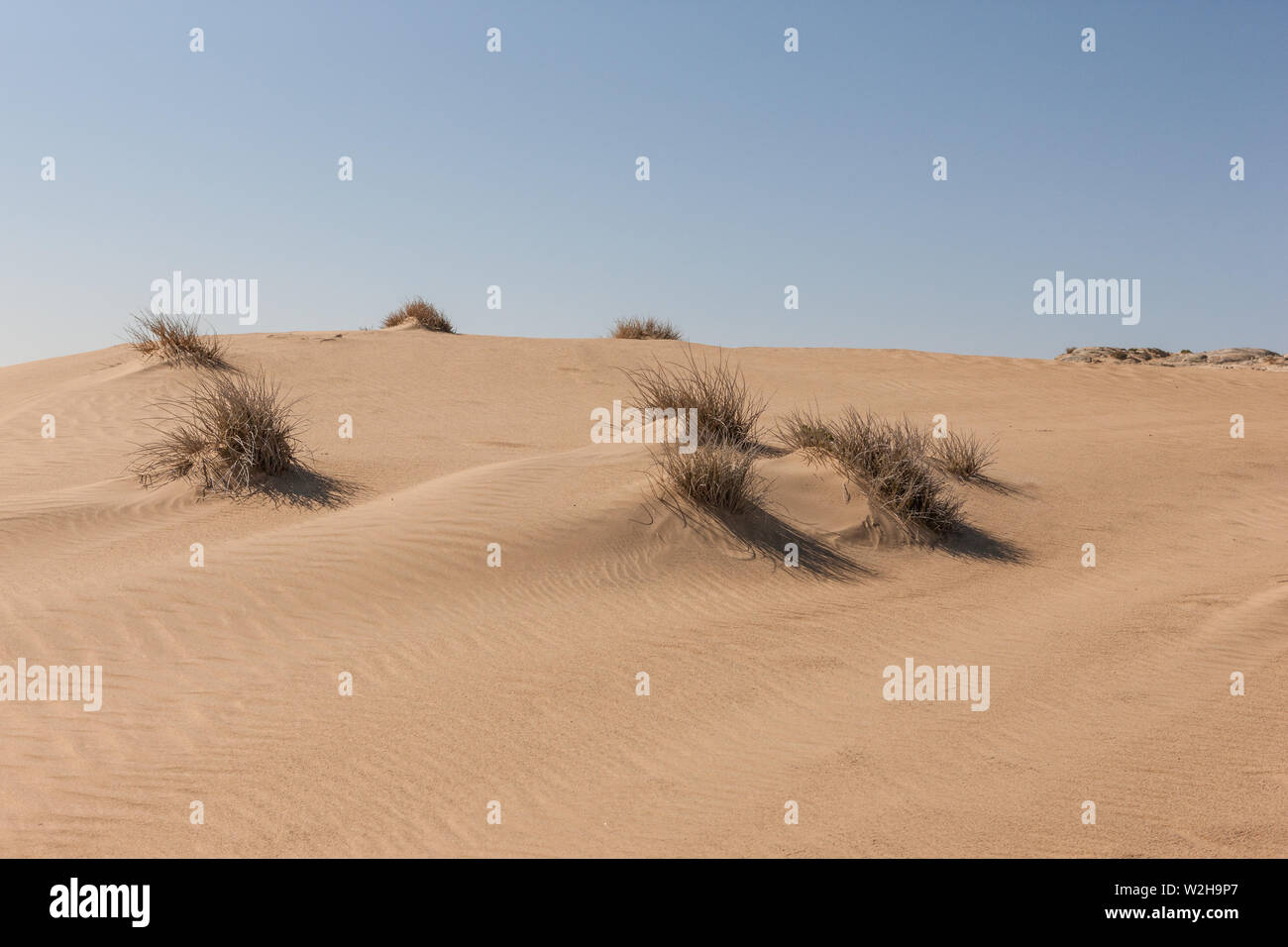 Sand dunes at Kolmanskop, Namibia Stock Photo