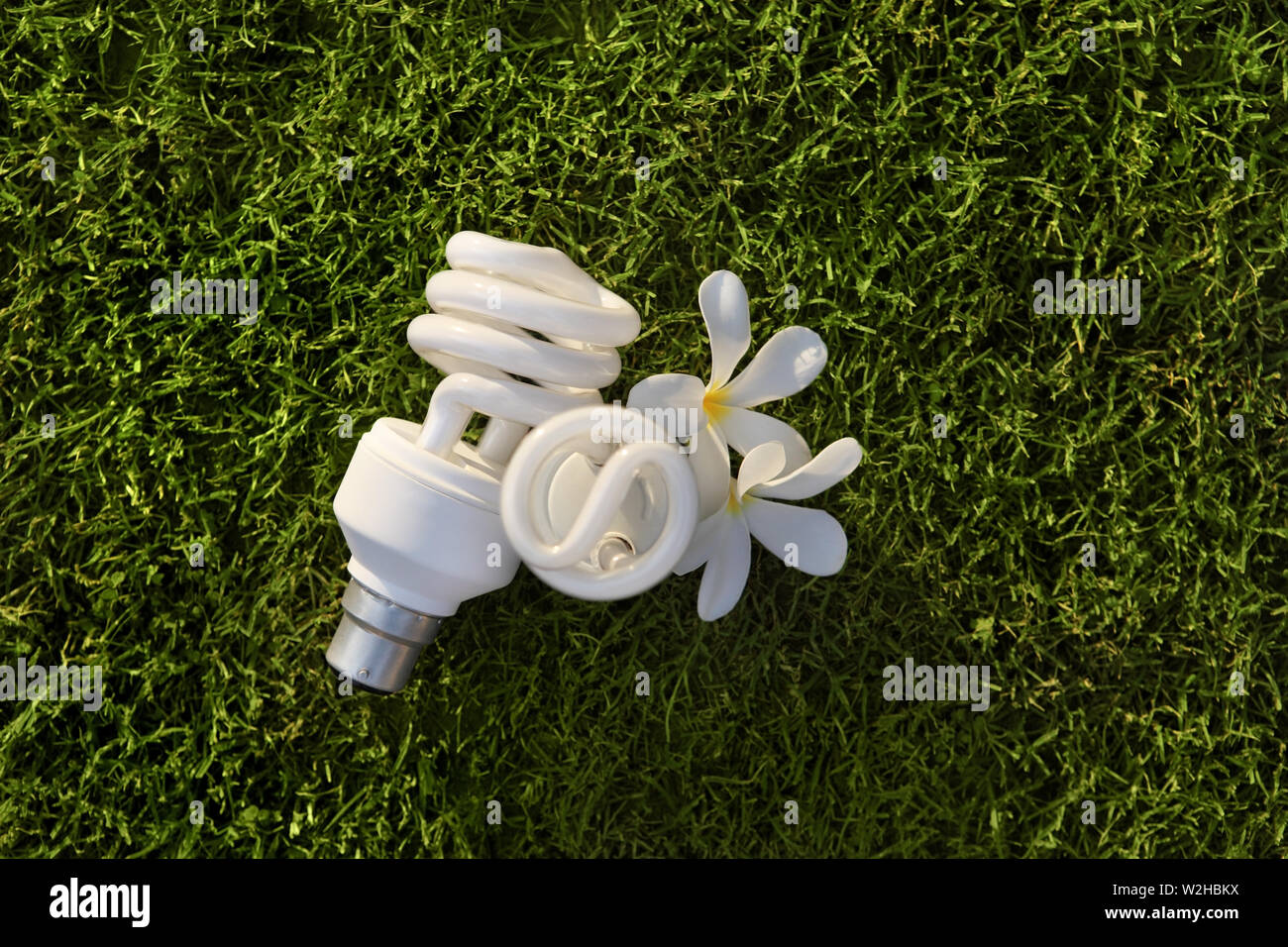 Energy saving lightbulbs in grass Stock Photo