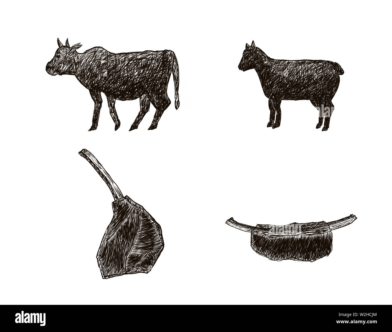 Black and white line illustration, steak beef Stock Photo - Alamy