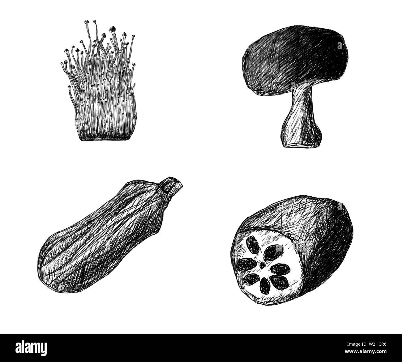 Black and white line illustrations, various vegetables Stock Photo - Alamy