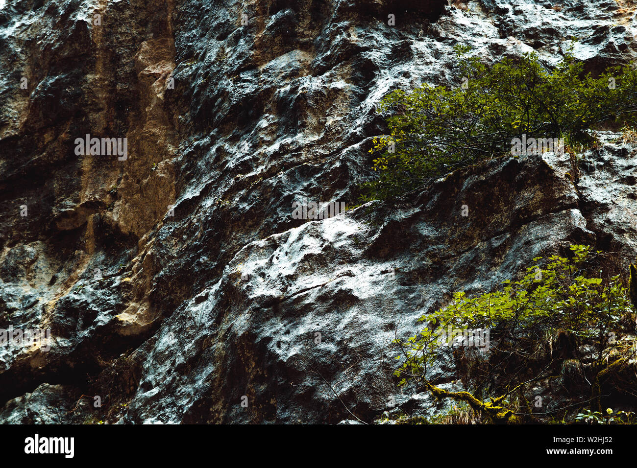 Mountain texture. Wet green surface. Structure of cliffy hills. Moss covered stones in Abkhazia. Stock Photo