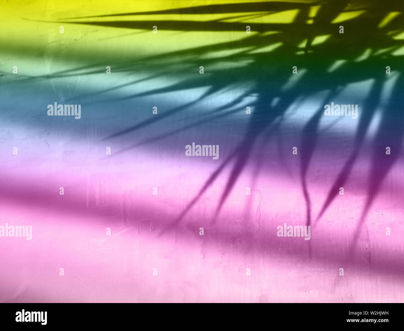 Colorful neon gradient background with shadow from flowers Stock Photo ...