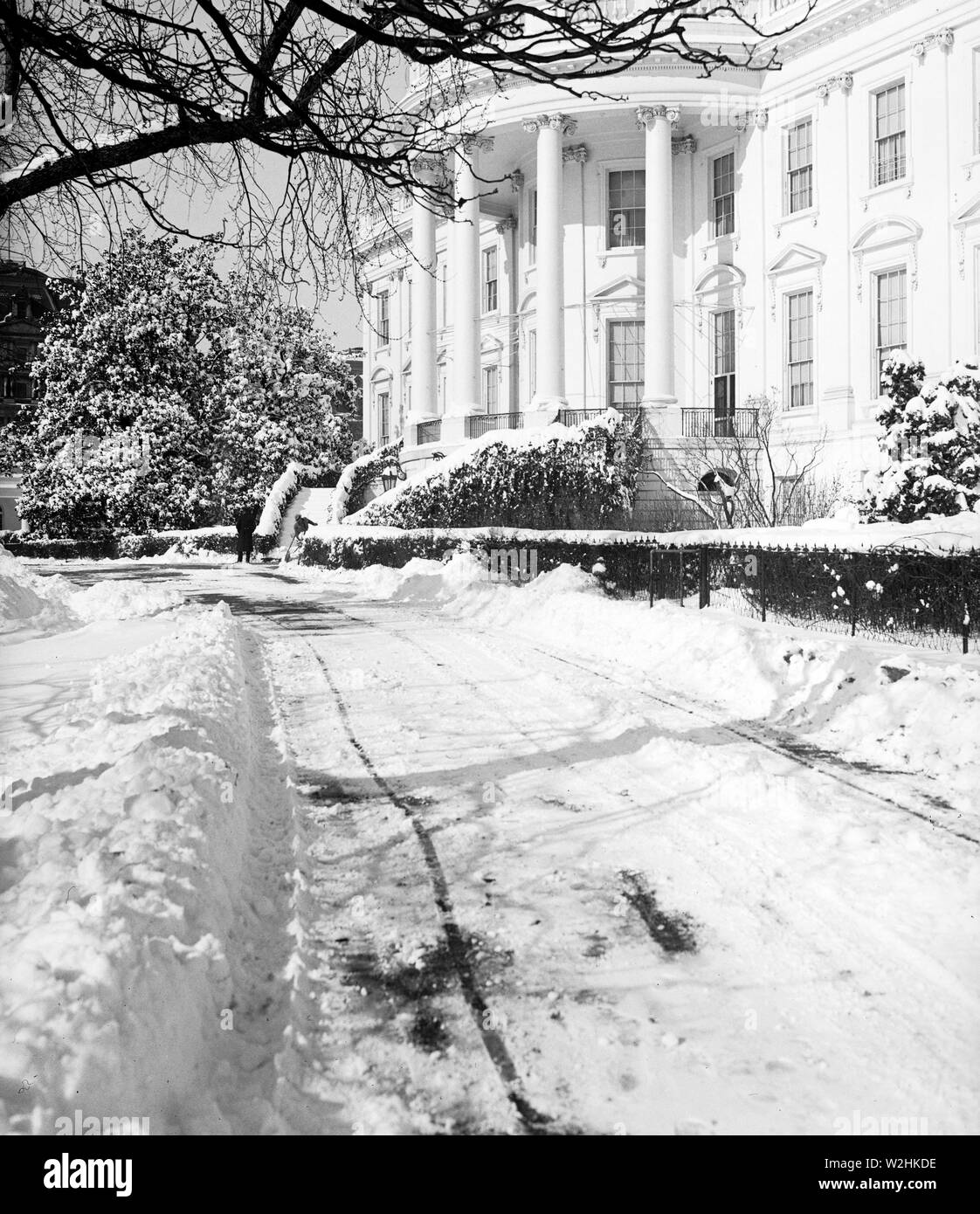 Pathway to history Black and White